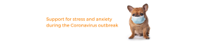 support for stress and anxiety during coronavirus, stress counselling in Chesham